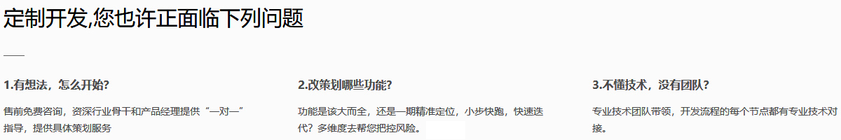 定制軟件開發